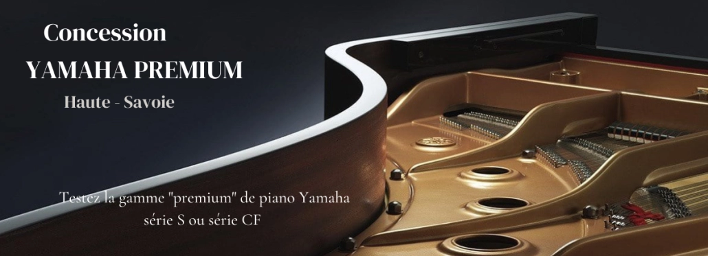 Concession Yamaha Premium